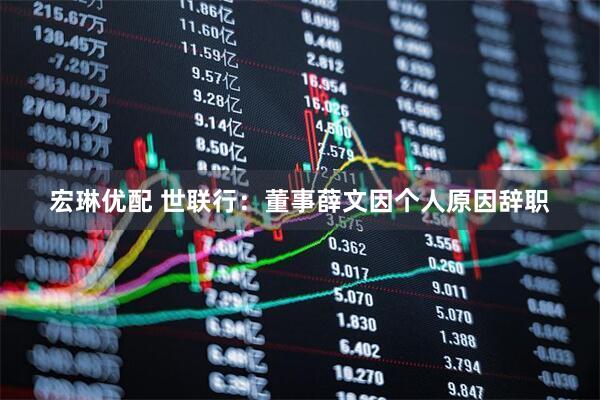 宏琳优配 世联行：董事薛文因个人原因辞职